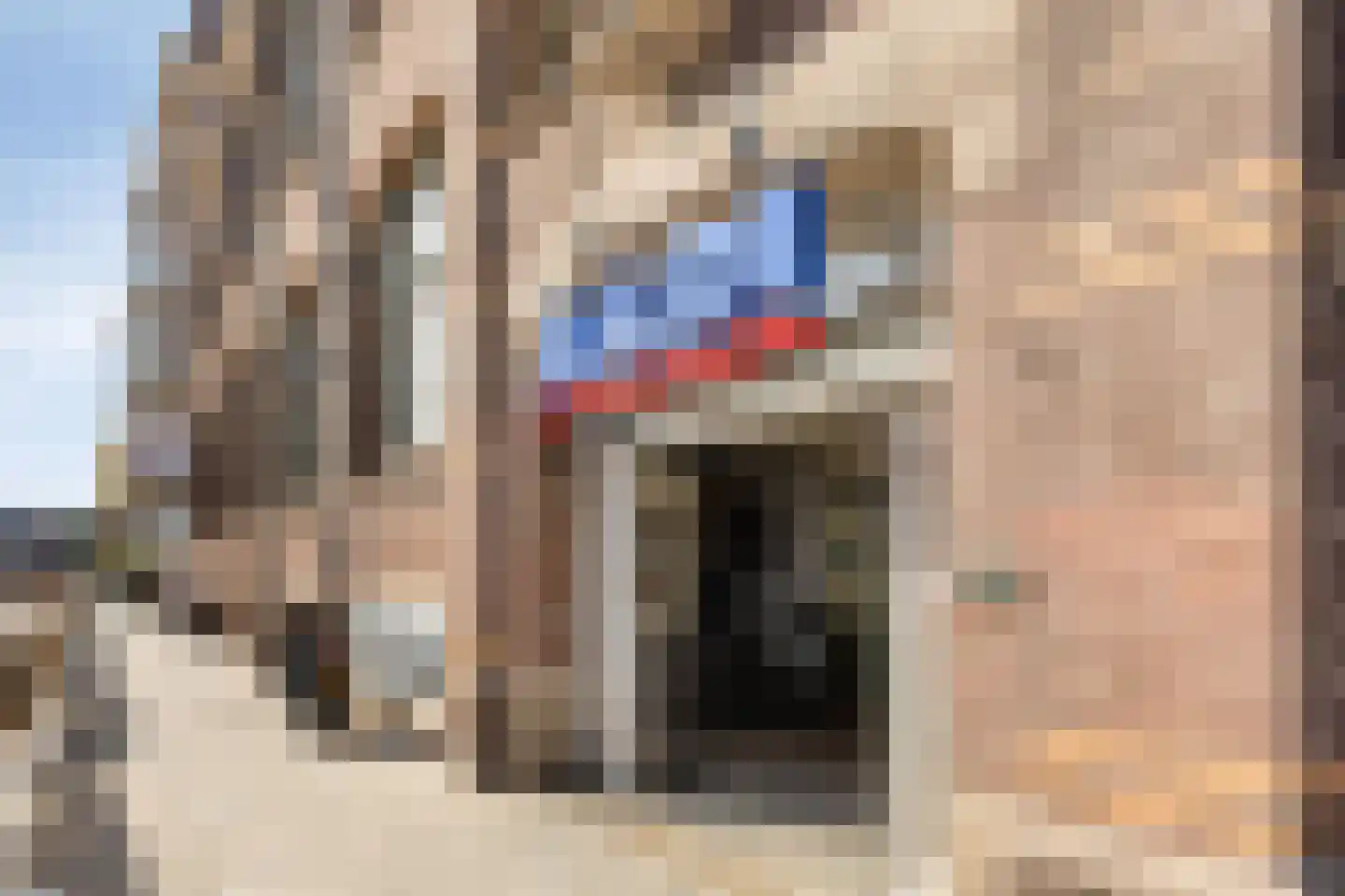 Maarten Harpertszoon Trompstraat 38 3 Amsterdam thumbnail 27