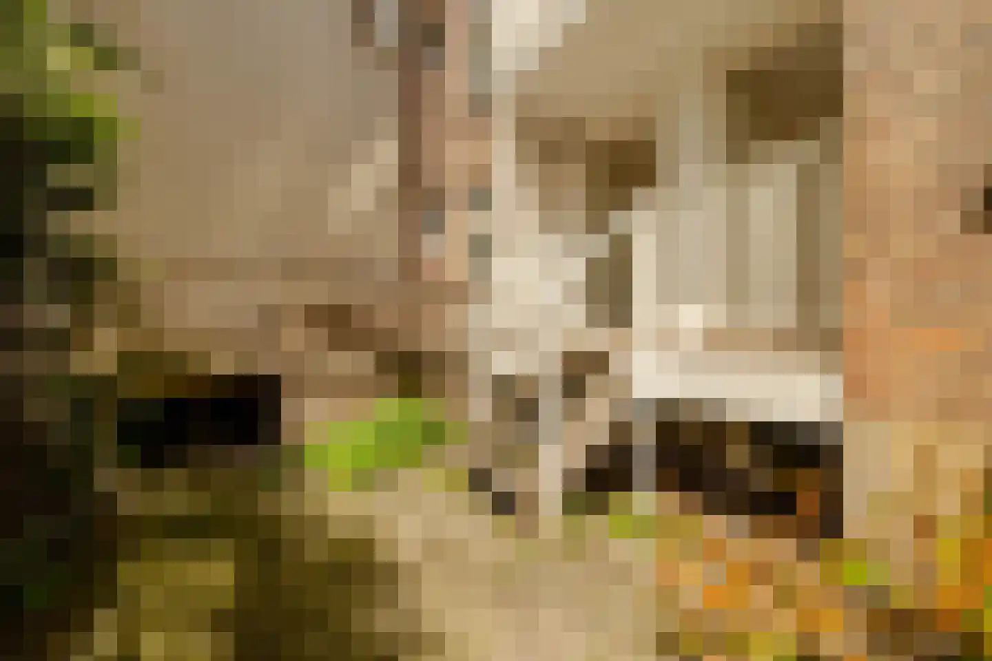 Maarten Harpertszoon Trompstraat 41 H Amsterdam thumbnail 11