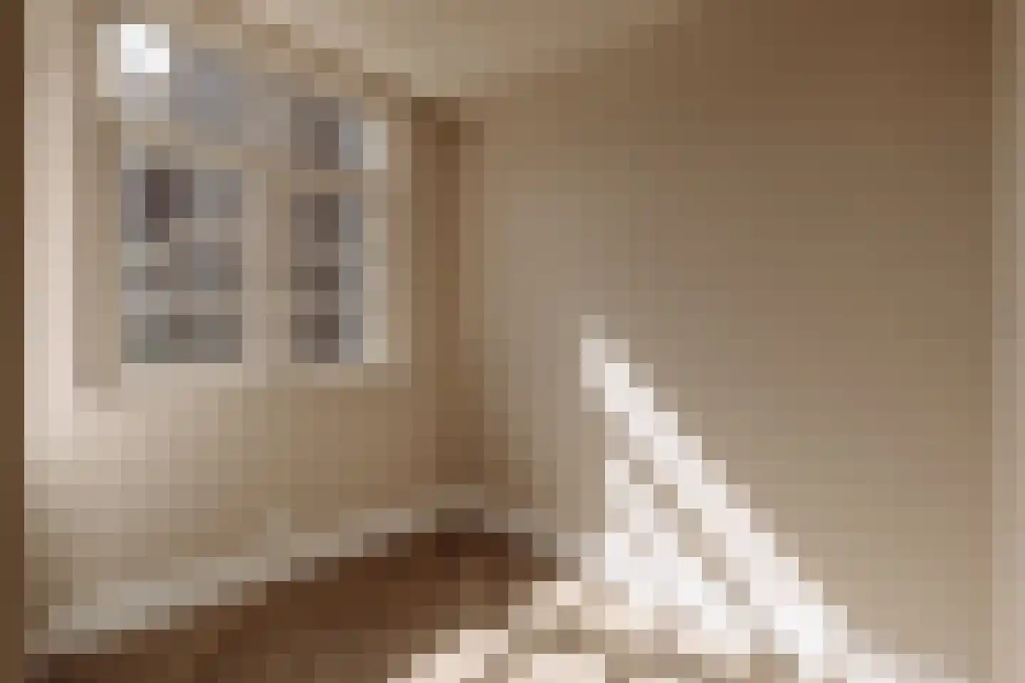 Maarten Harpertszoon Trompstraat 43 2 Amsterdam thumbnail 18