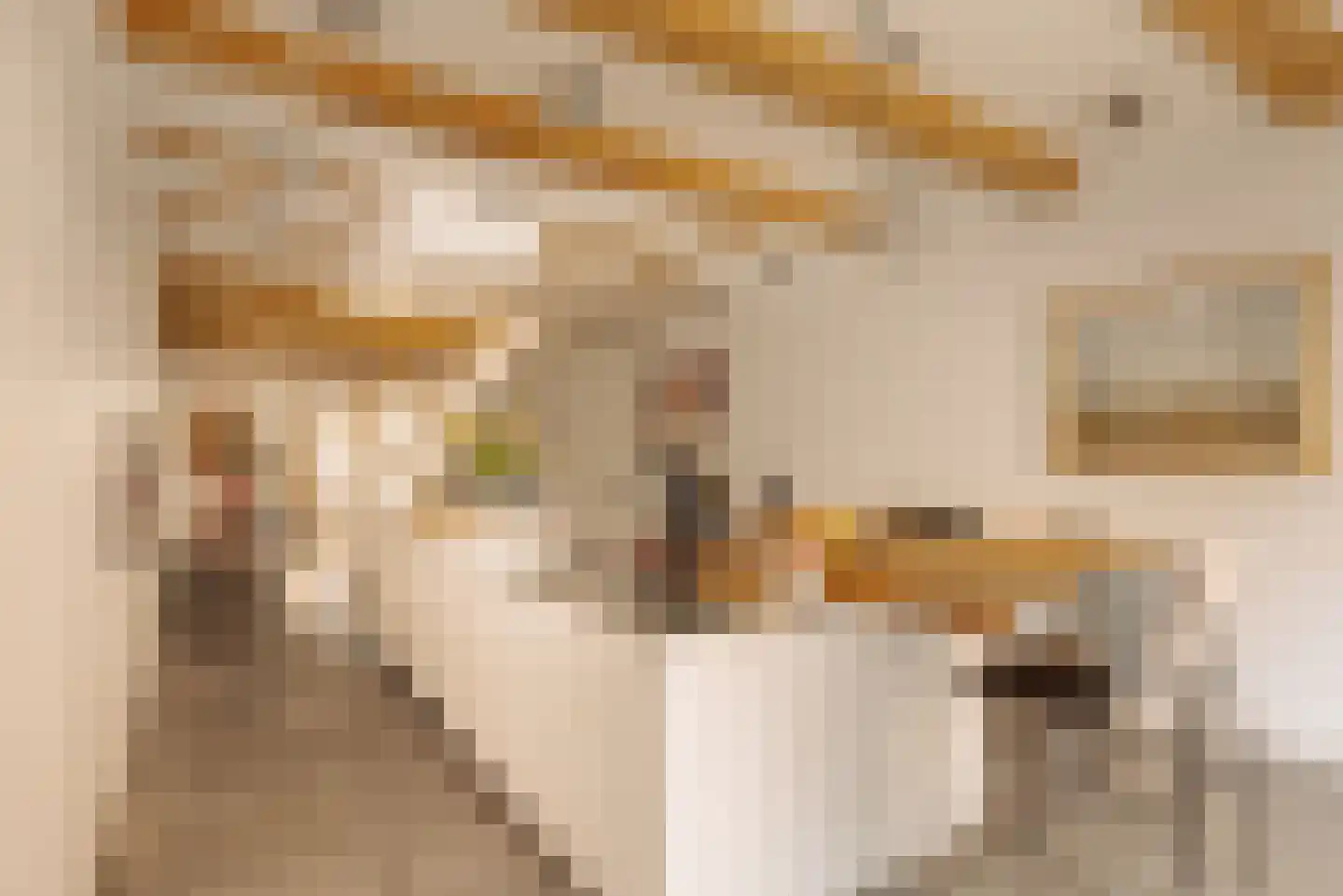 Maarten Jansz. Kosterstraat 17 Amsterdam thumbnail 11