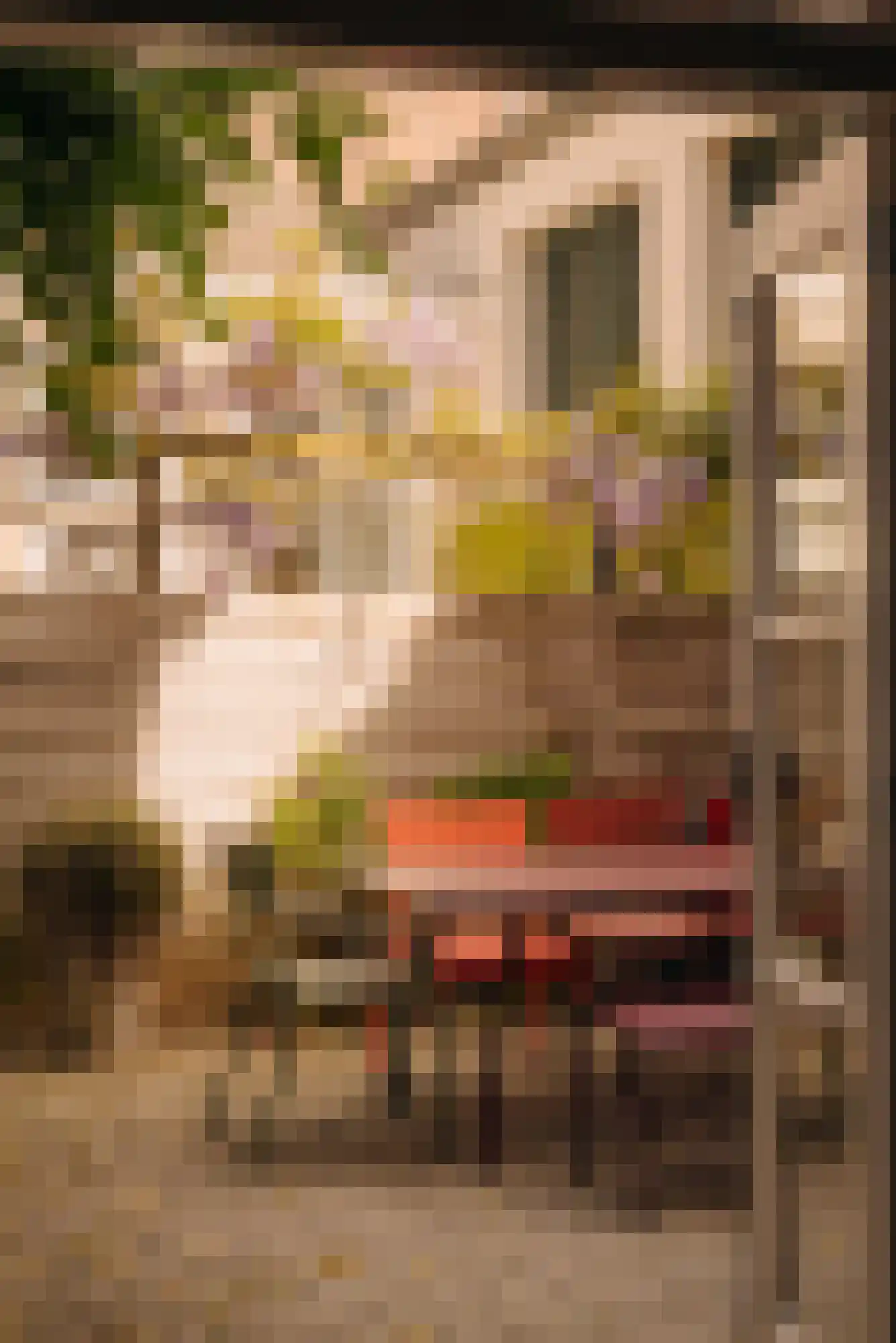 Maarten Jansz. Kosterstraat 17 Amsterdam thumbnail 13