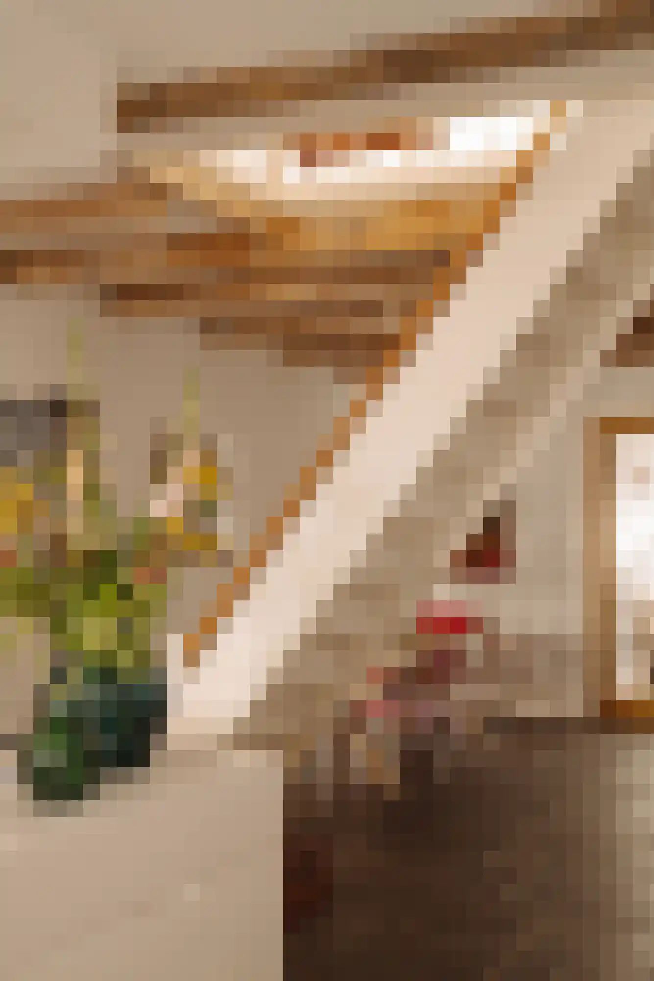 Maarten Jansz. Kosterstraat 17 Amsterdam thumbnail 15