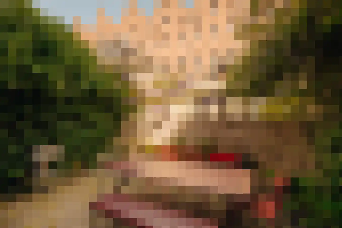 Maarten Jansz. Kosterstraat 17 Amsterdam thumbnail 17