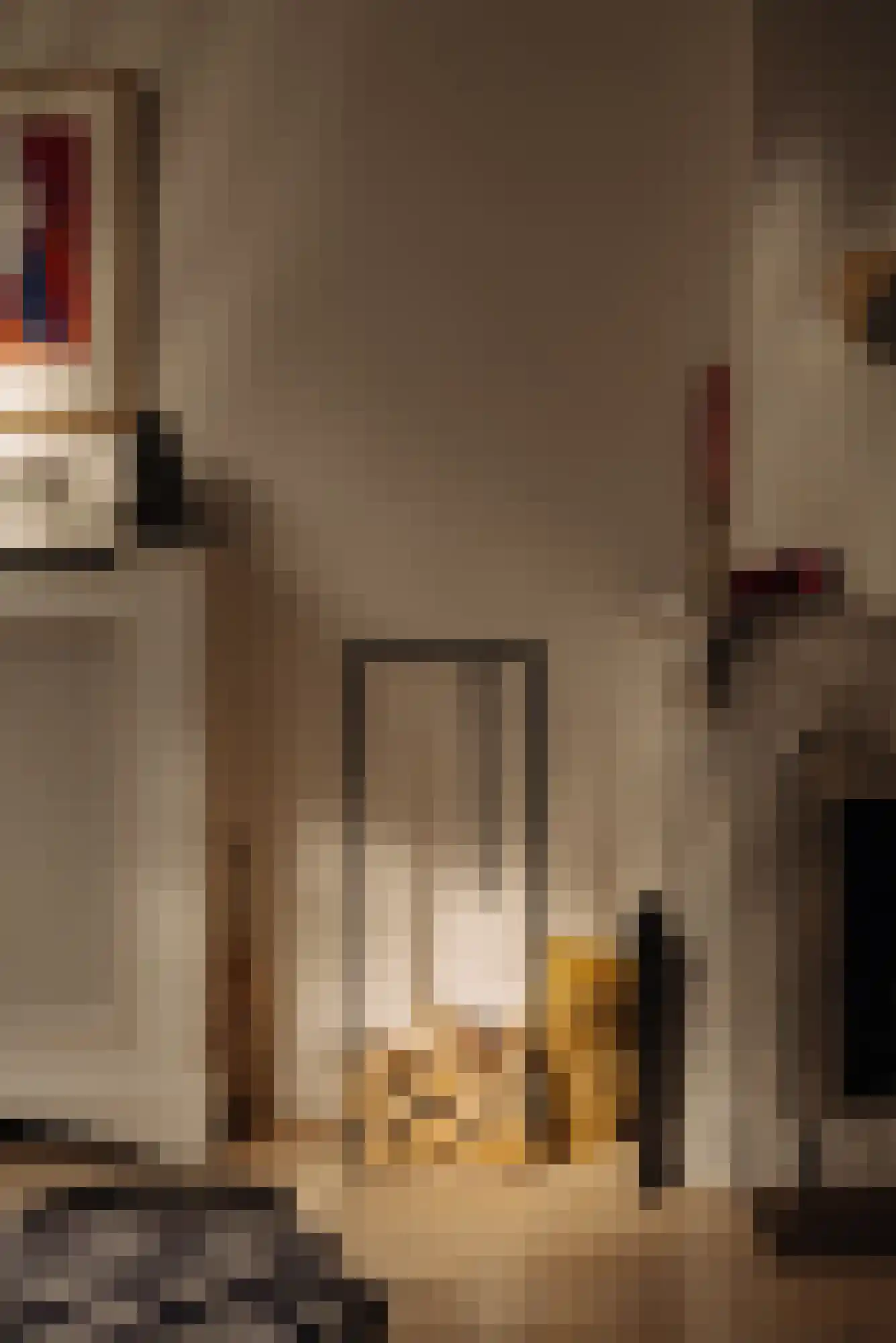 Maarten Jansz. Kosterstraat 17 Amsterdam thumbnail 25