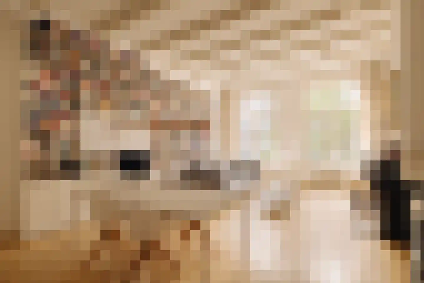 Maarten Jansz. Kosterstraat 17 Amsterdam thumbnail 27