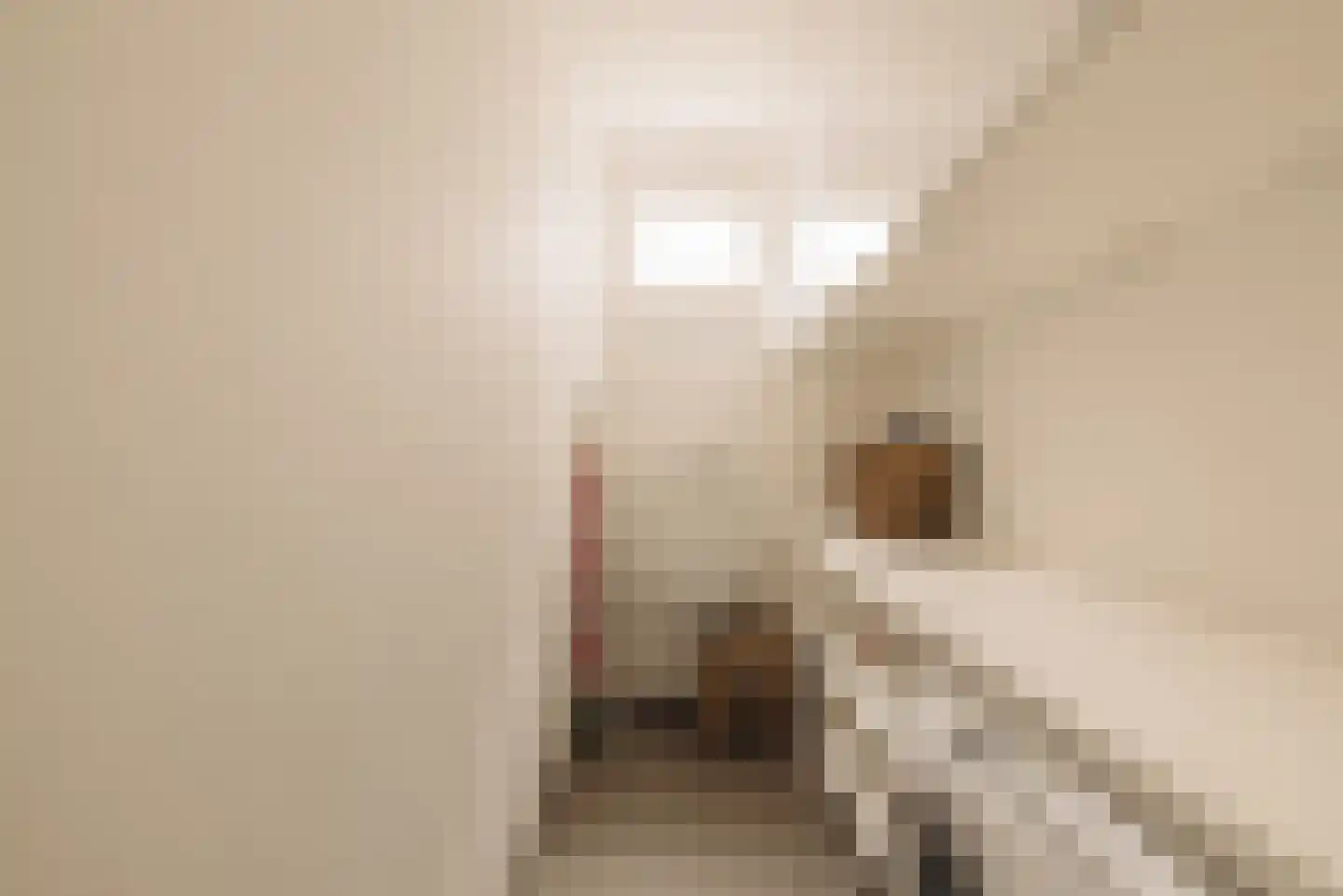 Maarten Jansz. Kosterstraat 17 Amsterdam thumbnail 36