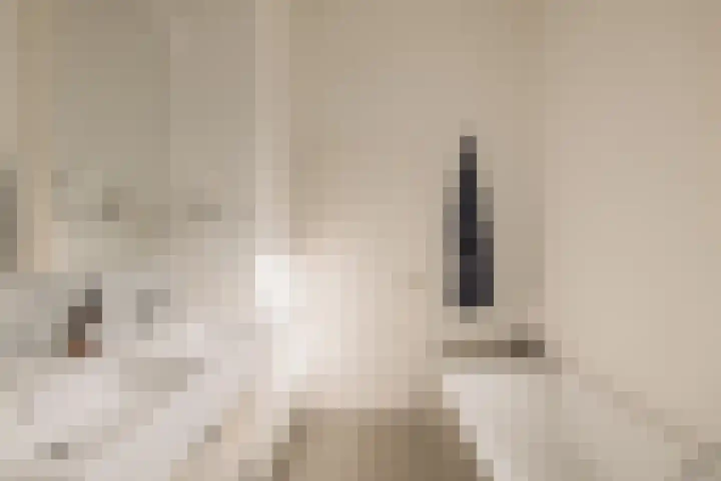 Maarten Jansz. Kosterstraat 17 Amsterdam thumbnail 45