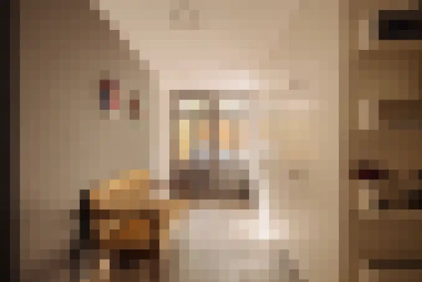 Maarten Jansz. Kosterstraat 17 Amsterdam thumbnail 6