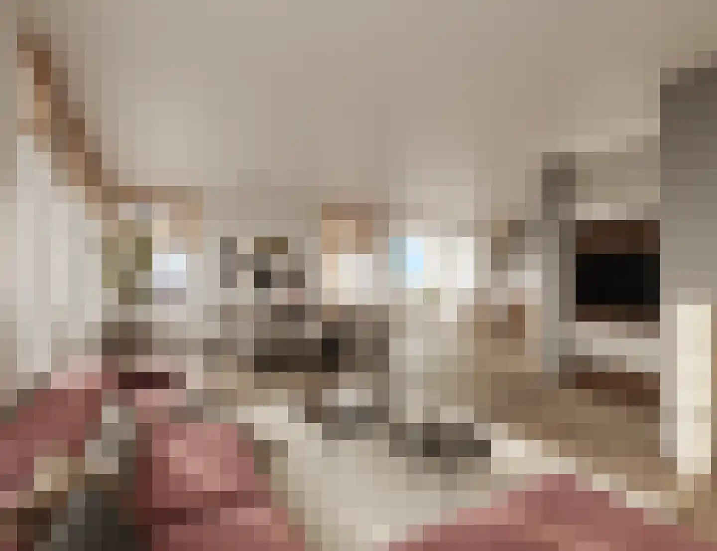 Maarten Kruytstraat 28 Noordwijk thumbnail 4