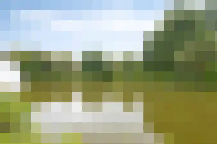 Maarten Lutherweg 117 Amstelveen thumbnail 31