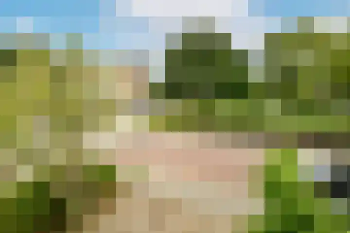 Maarten Lutherweg 142 Amstelveen thumbnail 16