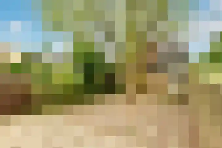 Maarten Lutherweg 142 Amstelveen thumbnail 8