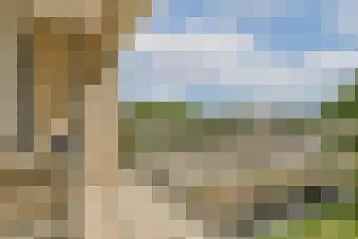 Maarten Lutherweg 190 Amstelveen thumbnail 4