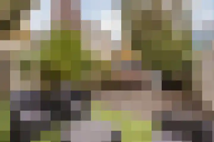 Maarten Lutherweg 196 Amstelveen thumbnail 30