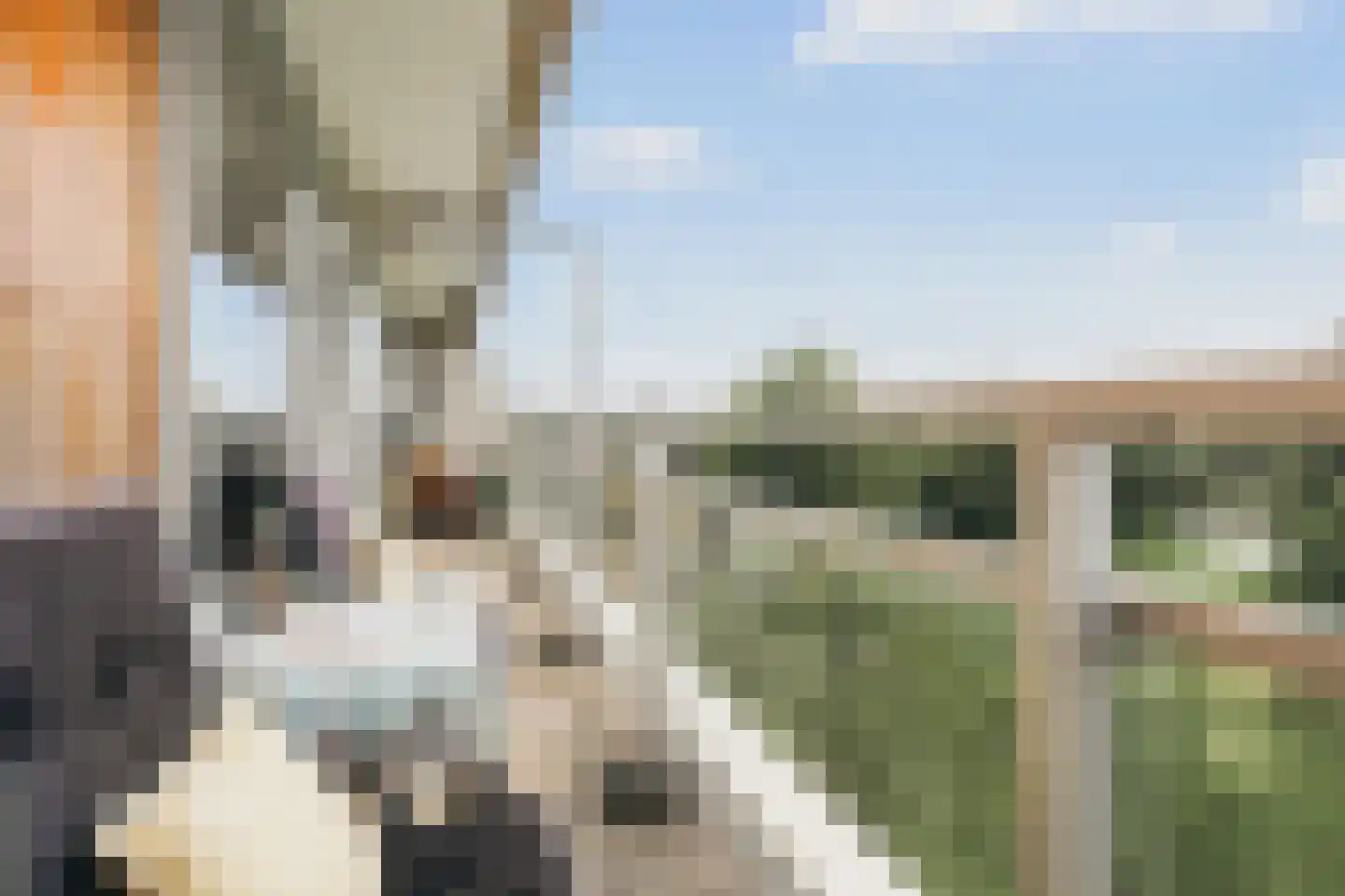 Maarten Lutherweg 269 Amstelveen thumbnail 4
