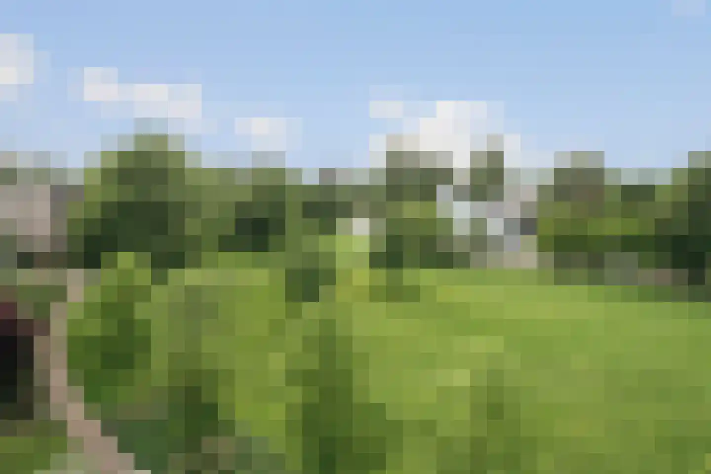 Maarten Lutherweg 269 Amstelveen thumbnail 9
