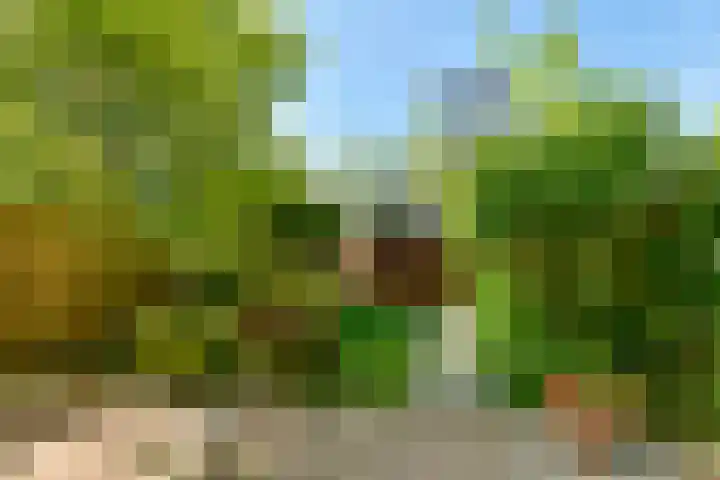 Maarten Lutherweg 274 Amstelveen thumbnail 9