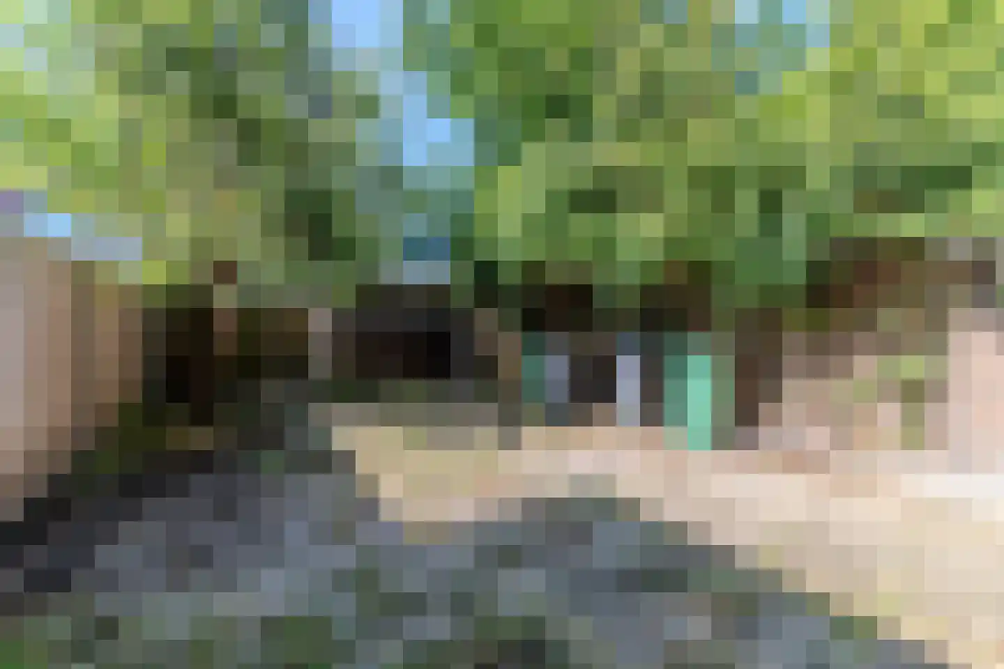 Maarten Lutherweg 284 Amstelveen thumbnail 19