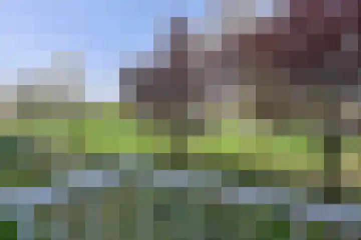Maarten Lutherweg 77 Amstelveen thumbnail 18