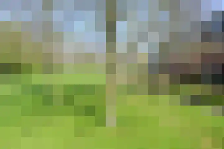 Maarten Lutherweg 77 Amstelveen thumbnail 27