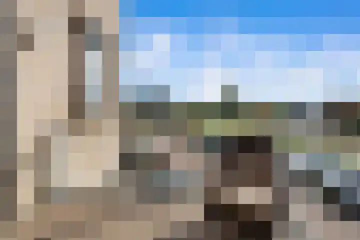 Maarten Molenaarpark 4 Nieuwerkerk aan den IJssel thumbnail 28