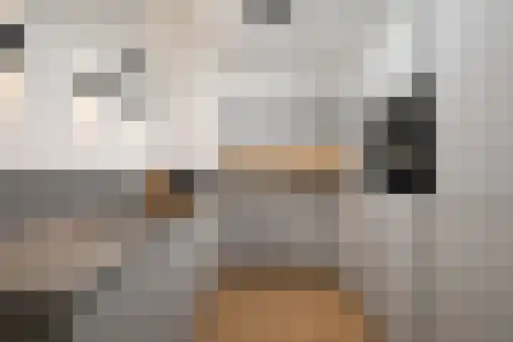 Maarten Molenaarpark 4 Nieuwerkerk aan den IJssel thumbnail 4