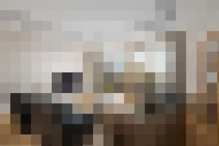 Maarten Molenaarpark 4 Nieuwerkerk aan den IJssel thumbnail 5