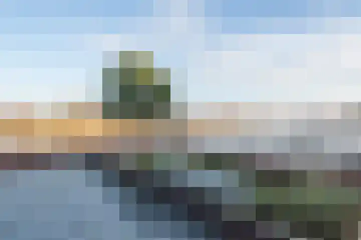 Maarten Molenaarpark 54 Nieuwerkerk aan den IJssel thumbnail 34