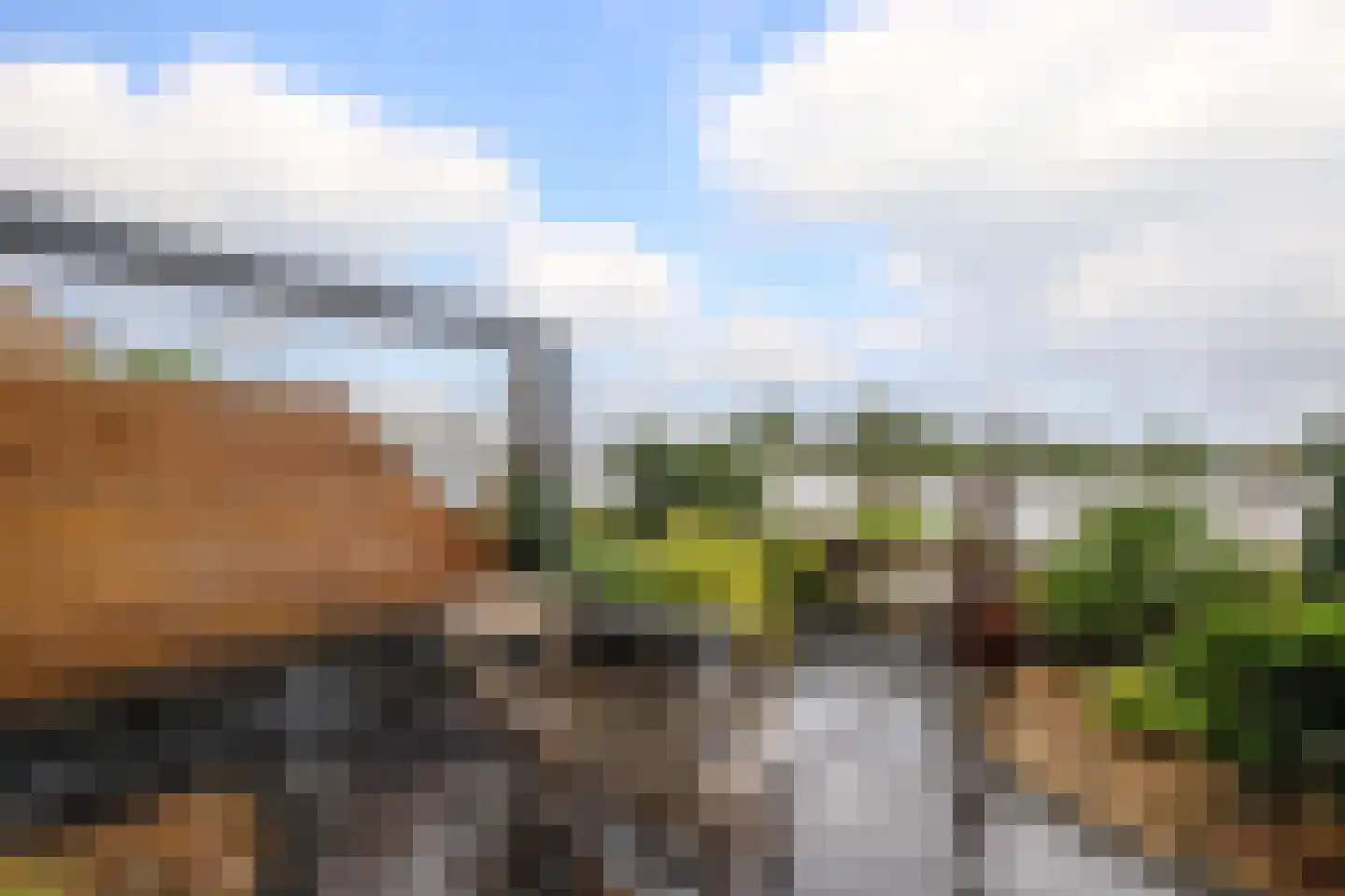 Maarten Molenaarpark 74 Nieuwerkerk aan den IJssel thumbnail 13