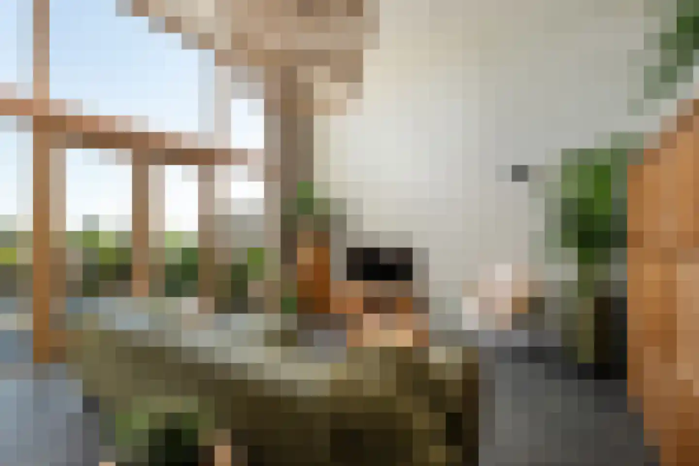 Maarten Molenaarpark 74 Nieuwerkerk aan den IJssel thumbnail 16