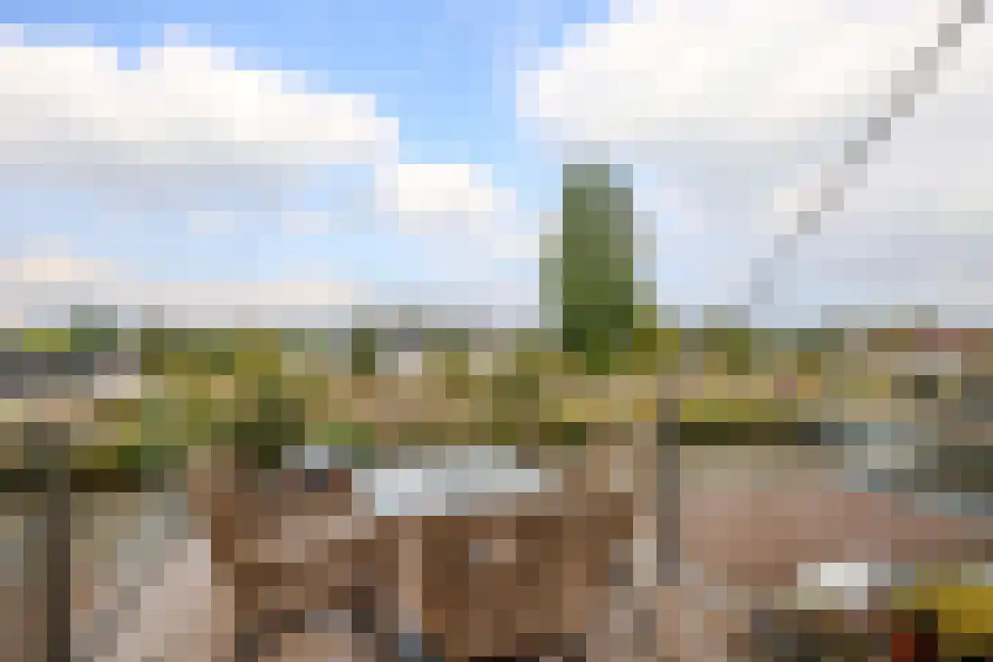 Maarten Molenaarpark 74 Nieuwerkerk aan den IJssel thumbnail 22