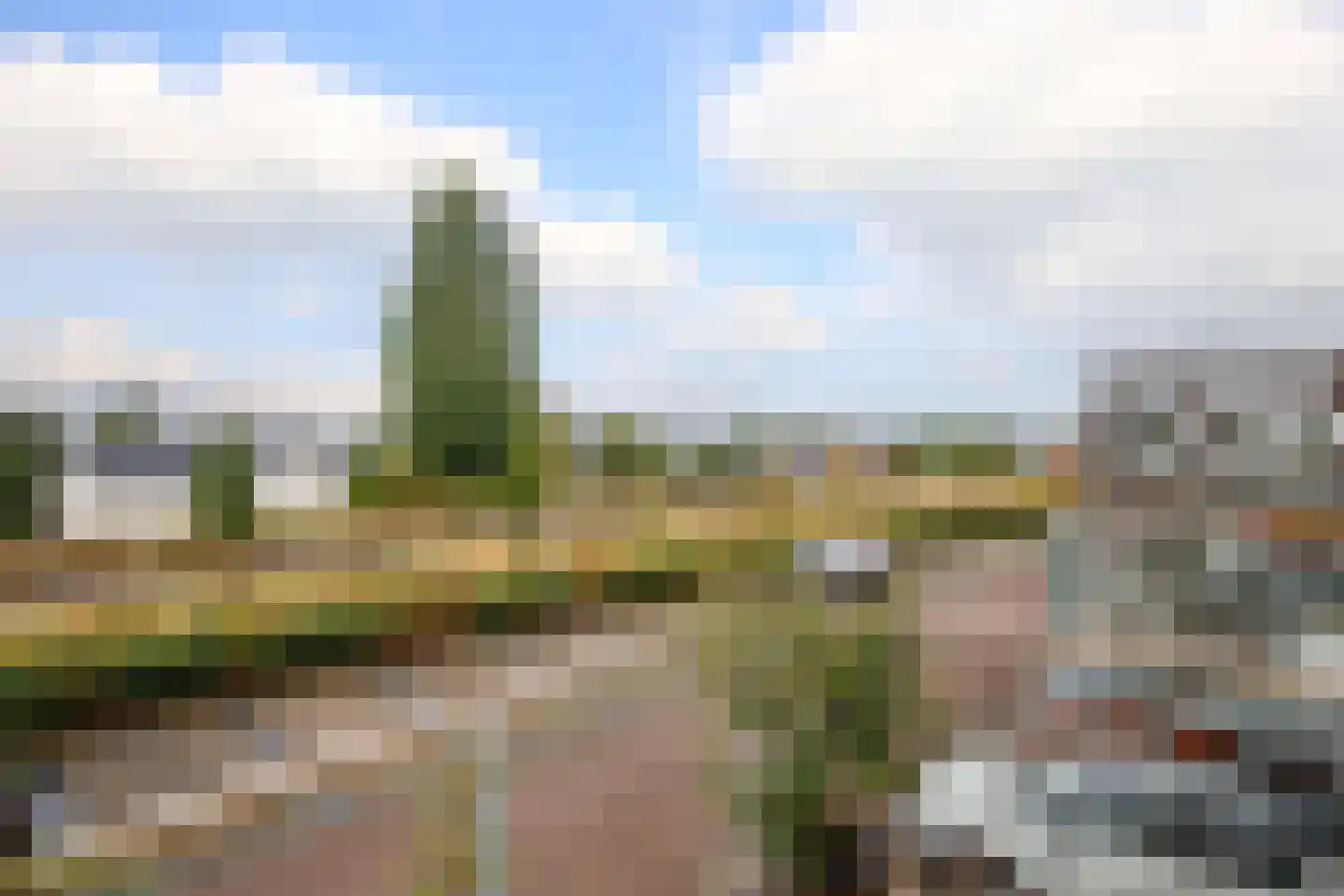 Maarten Molenaarpark 74 Nieuwerkerk aan den IJssel thumbnail 23