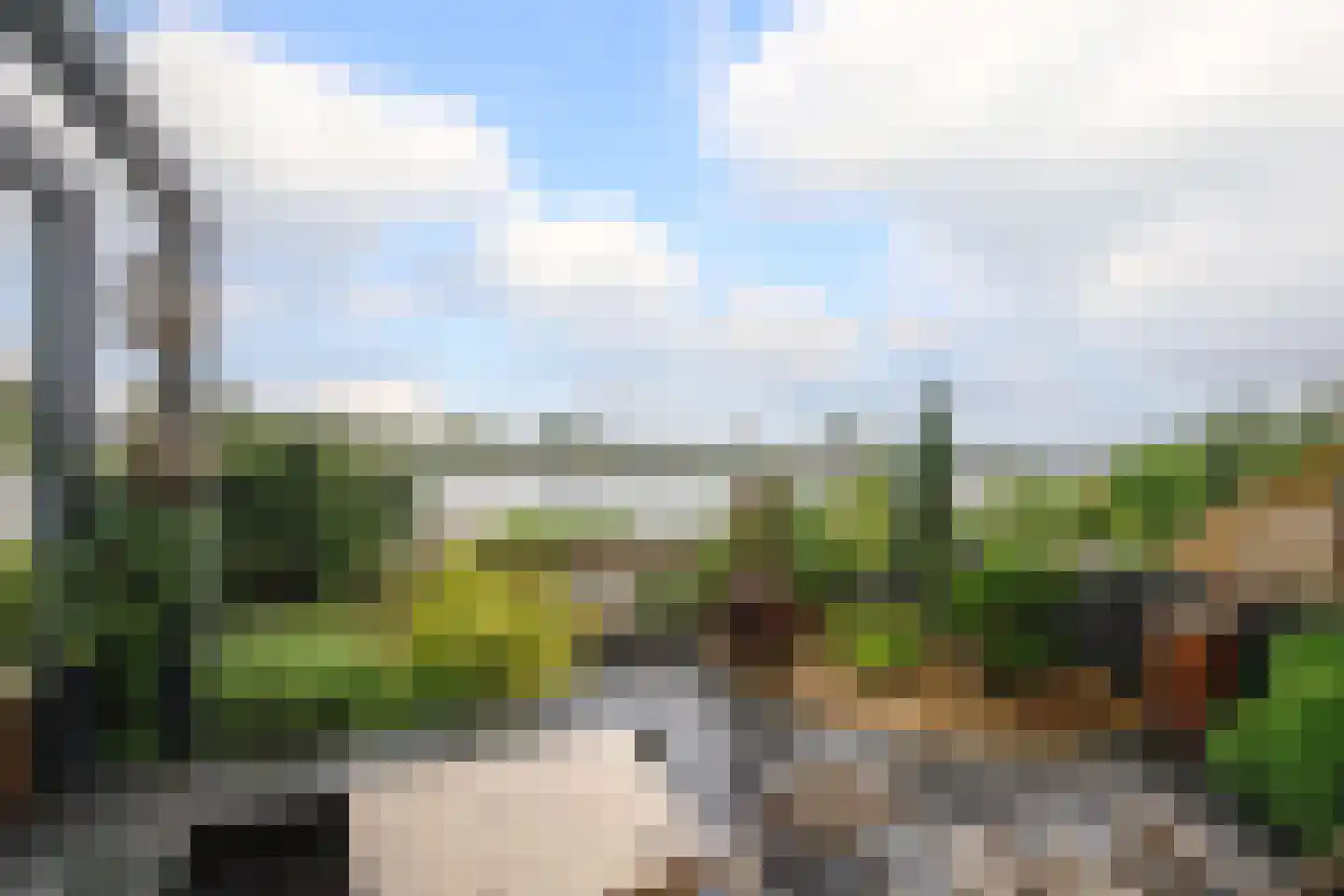 Maarten Molenaarpark 74 Nieuwerkerk aan den IJssel thumbnail 38