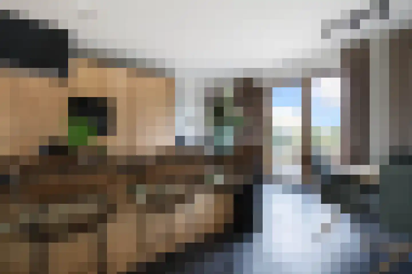Maarten Molenaarpark 74 Nieuwerkerk aan den IJssel thumbnail 4