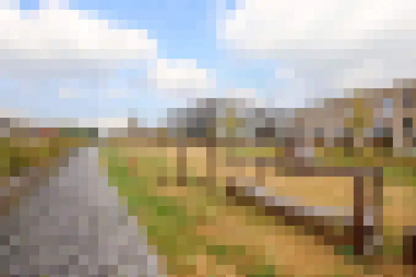 Maarten Molenaarpark 74 Nieuwerkerk aan den IJssel thumbnail 46