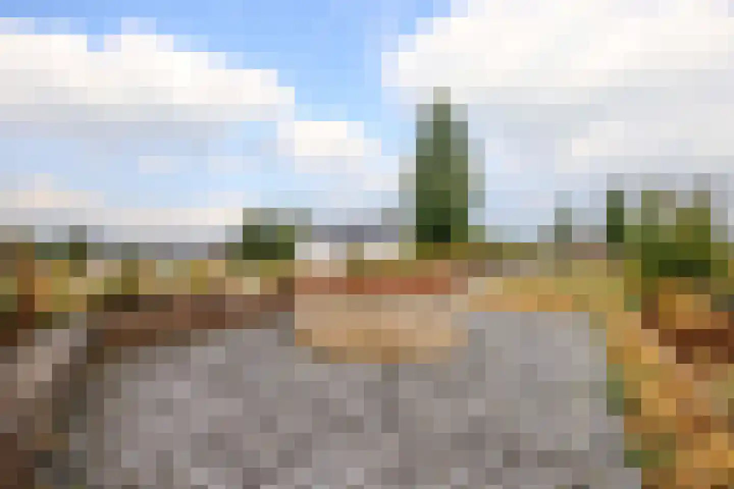 Maarten Molenaarpark 74 Nieuwerkerk aan den IJssel thumbnail 47