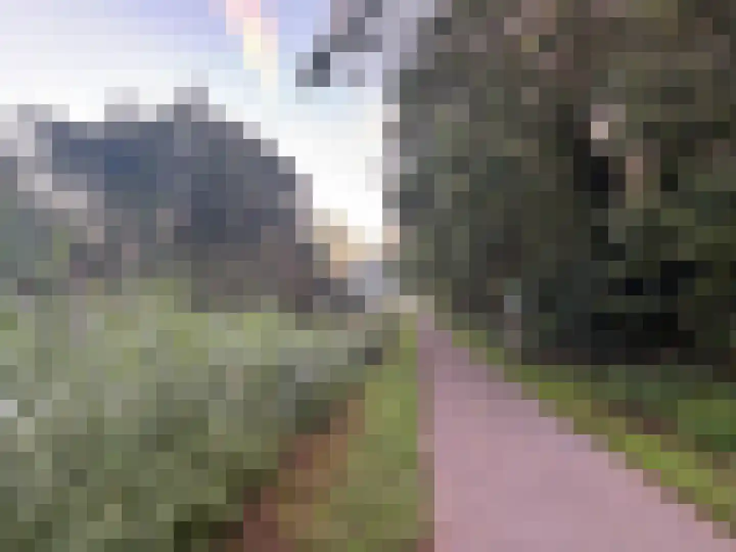 Maarten Molenaarpark 74 Nieuwerkerk aan den IJssel thumbnail 53