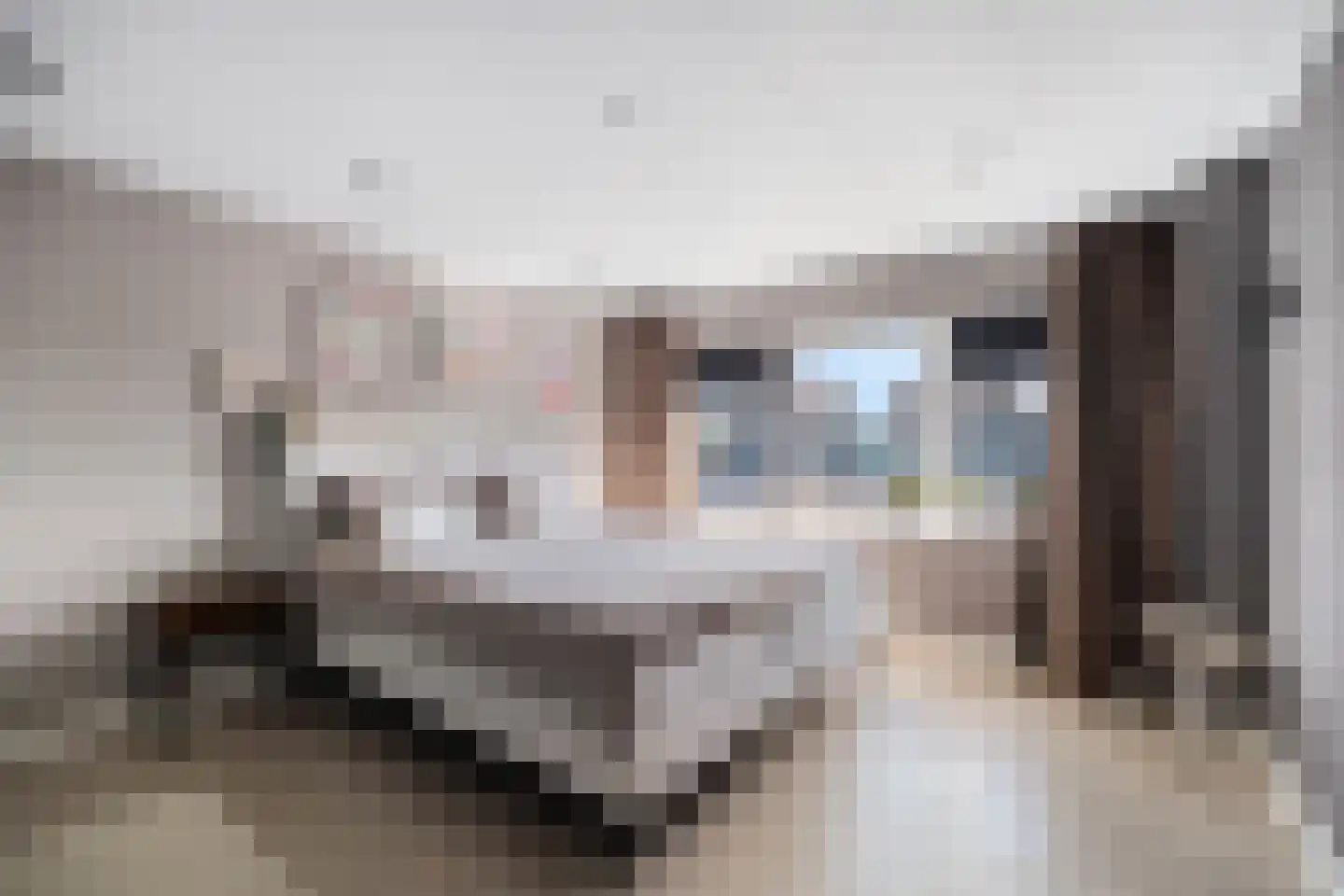 Maarten Mooystraat 38 Callantsoog thumbnail 22