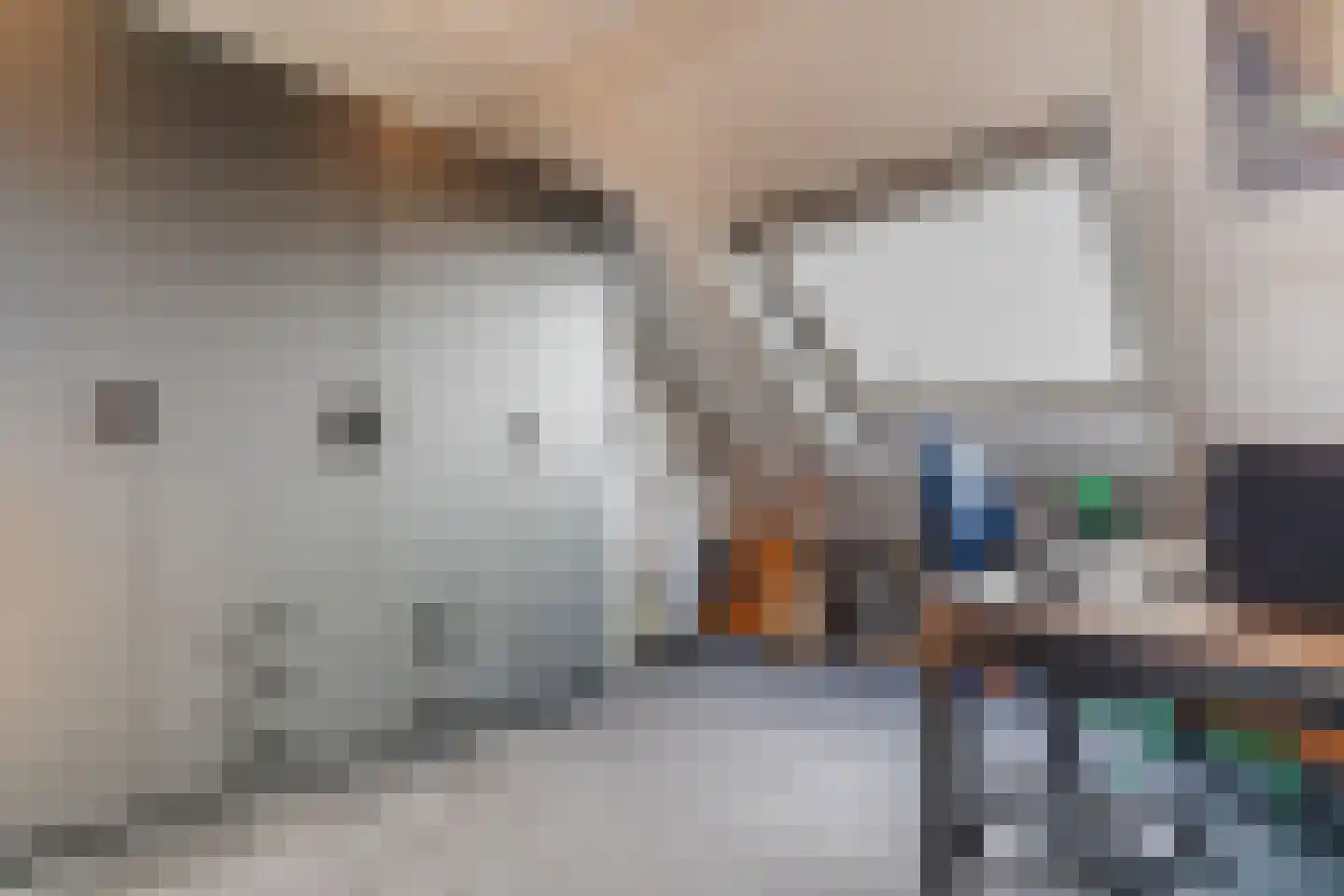 Maarten Mooystraat 4 Callantsoog thumbnail 30