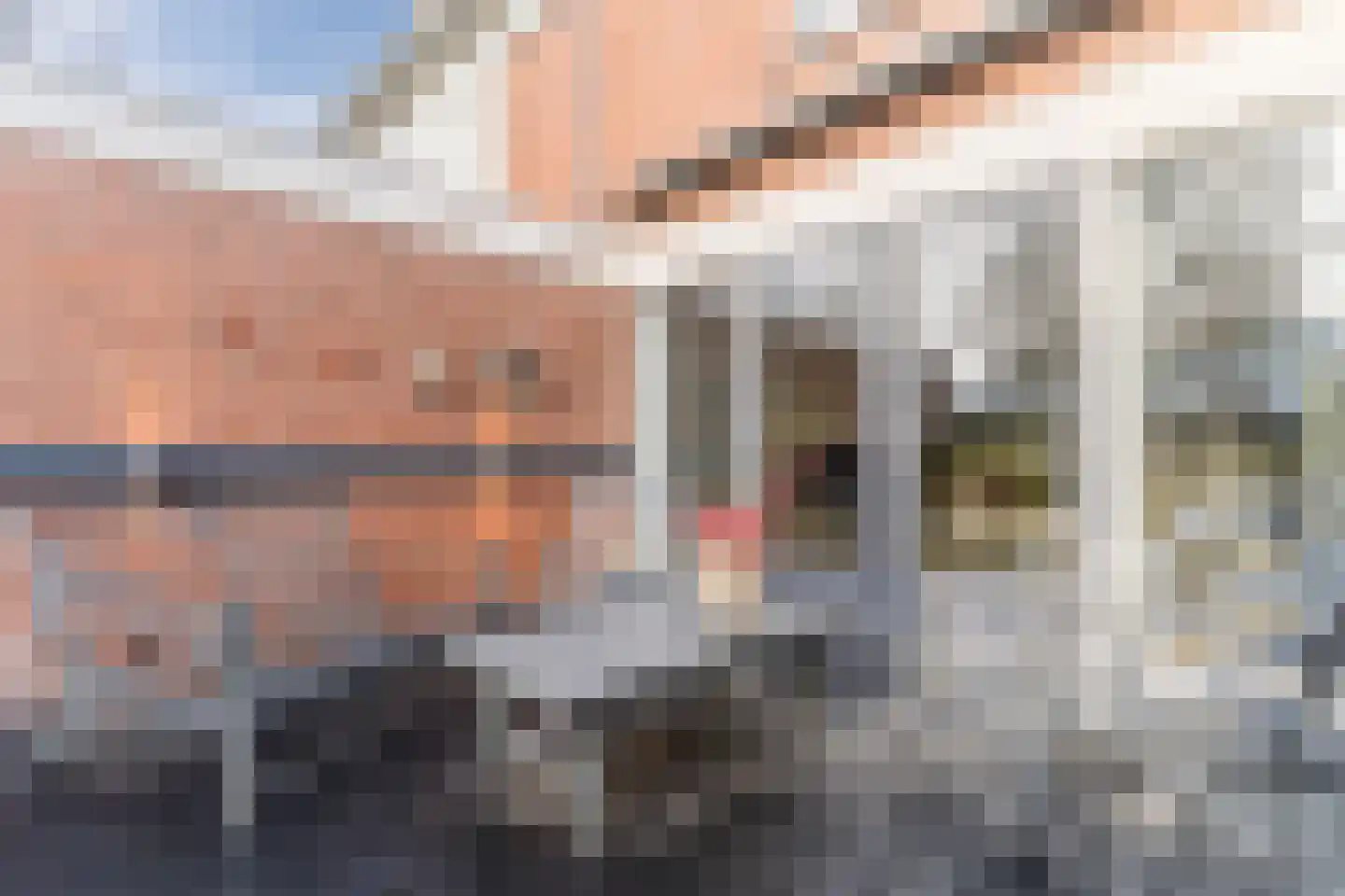 Maarten Mooystraat 4 Callantsoog thumbnail 31