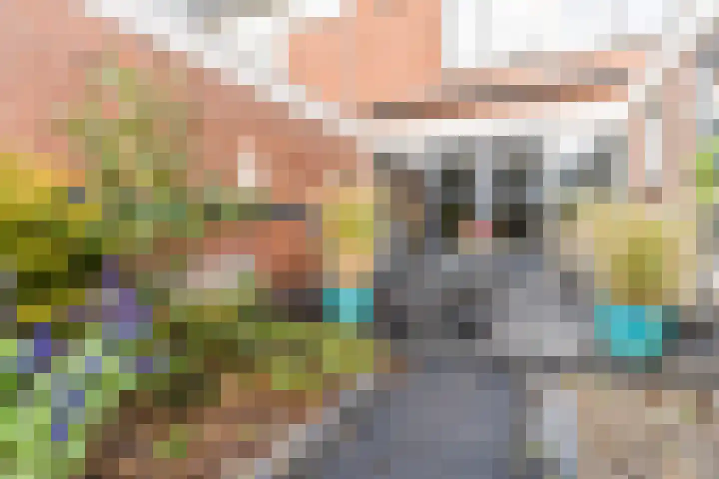 Maarten Mooystraat 4 Callantsoog thumbnail 35