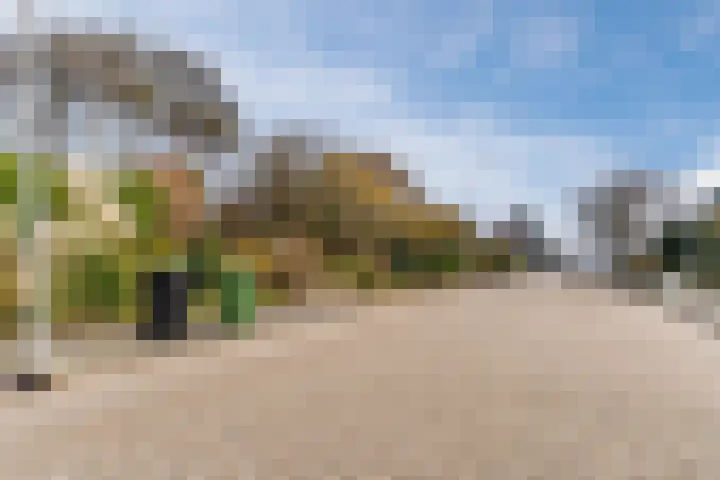Maarten Mooystraat 4 Callantsoog thumbnail 38