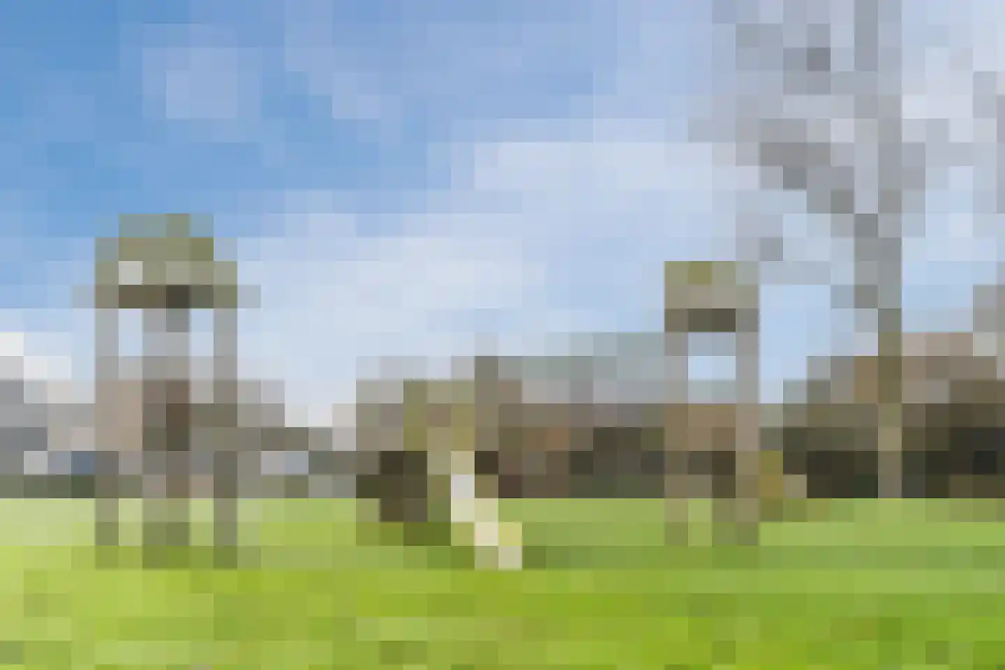 Maarten Mooystraat 4 Callantsoog thumbnail 41