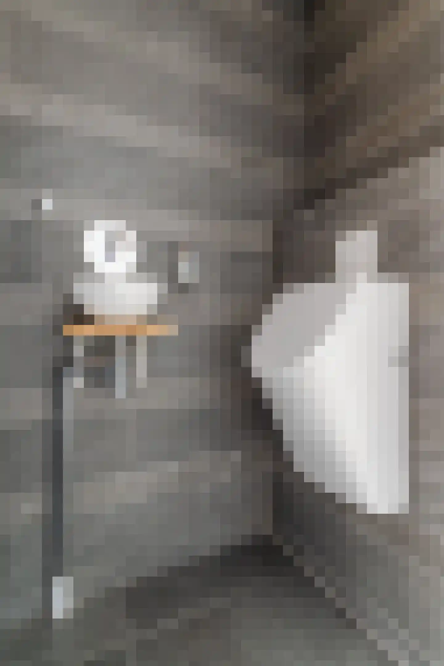 Maarten Mooystraat 4 Callantsoog thumbnail 6