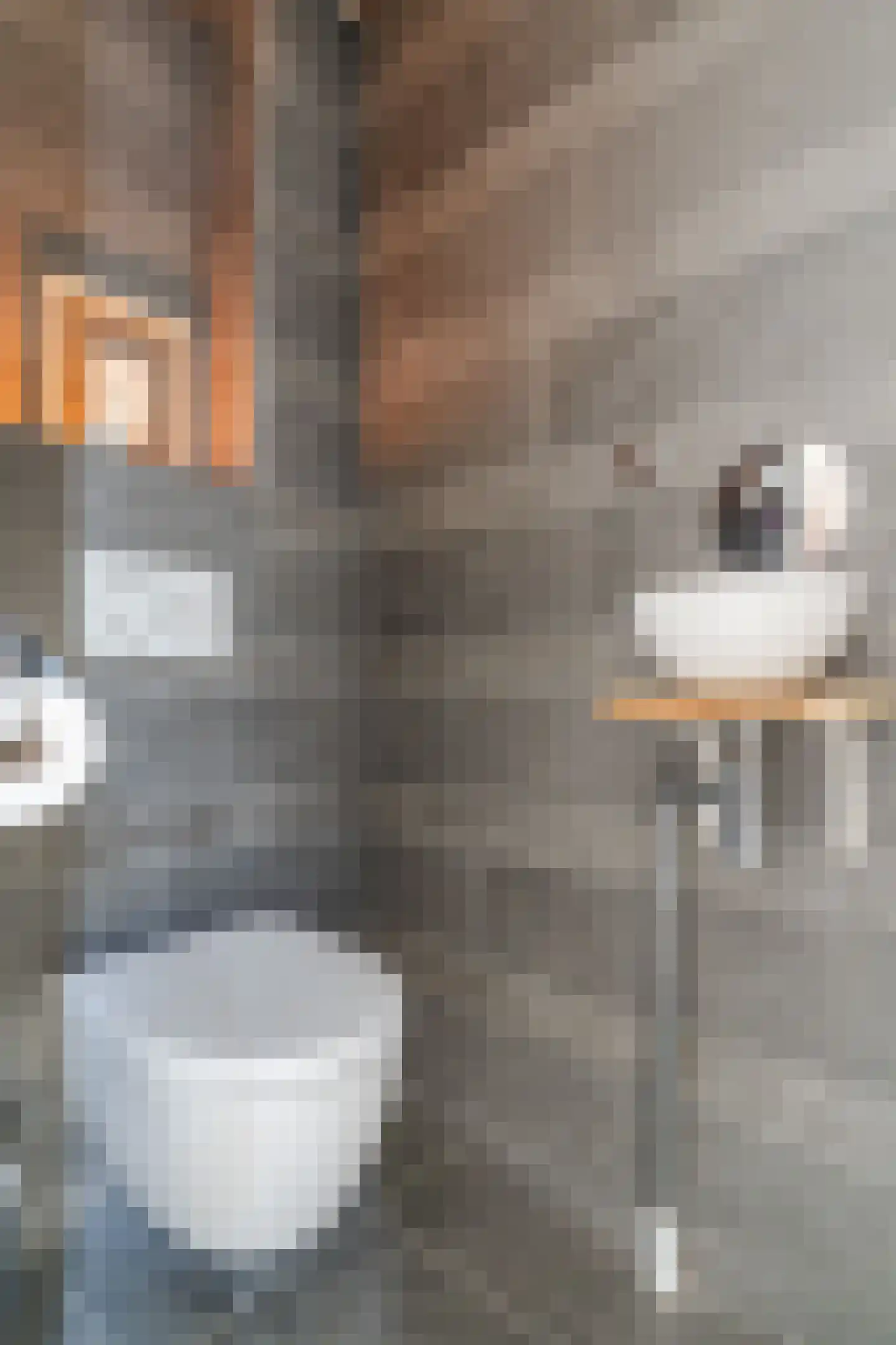 Maarten Mooystraat 4 Callantsoog thumbnail 7