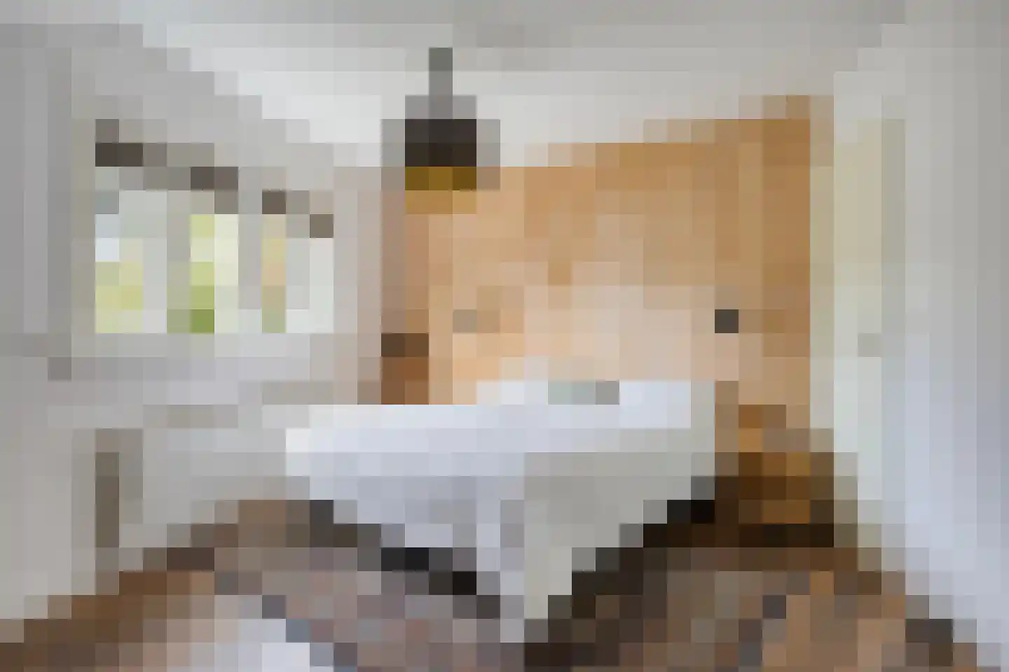 Maarten Mooystraat 5 Callantsoog thumbnail 24