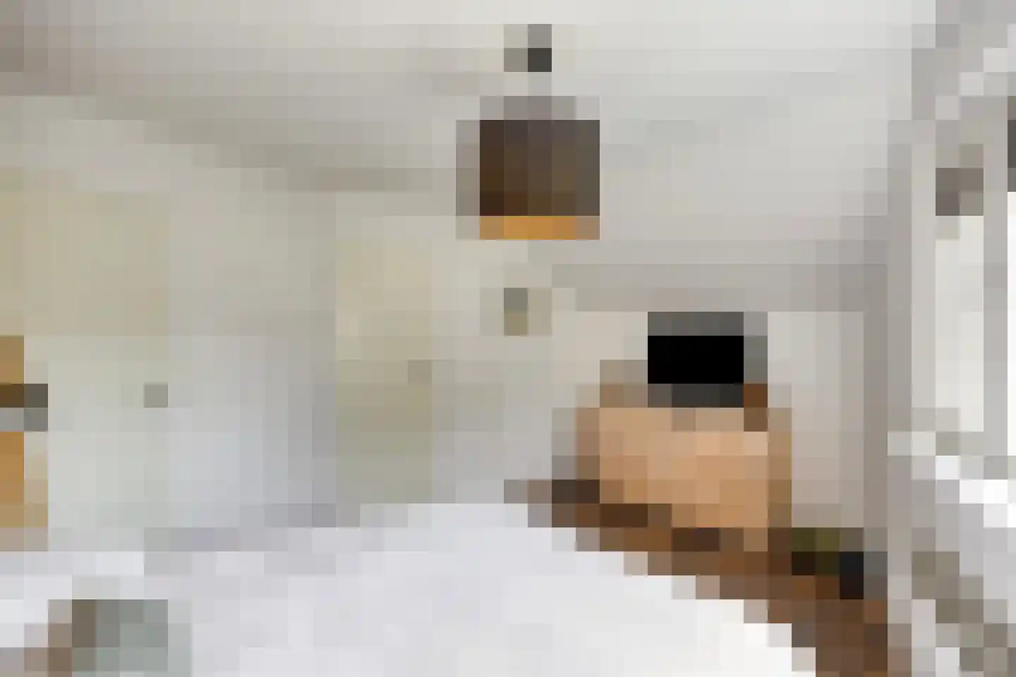 Maarten Mooystraat 5 Callantsoog thumbnail 25