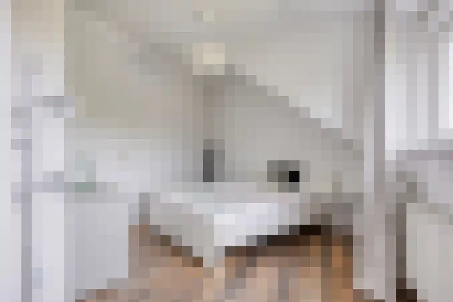 Maarten Mooystraat 5 Callantsoog thumbnail 33