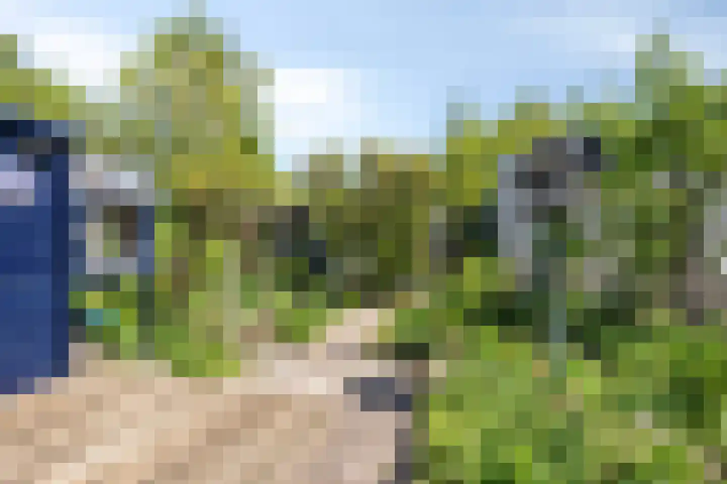 Maarten Mooystraat 5 Callantsoog thumbnail 42