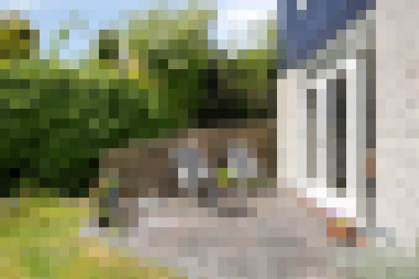Maarten Mooystraat 5 Callantsoog thumbnail 43